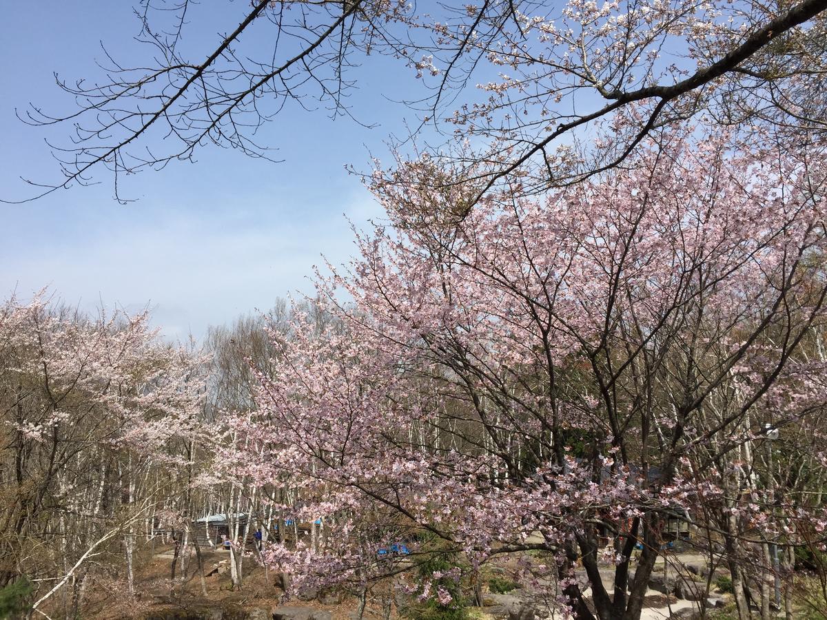 Hotel Tagawa Yamanouchi  Eksteriør billede